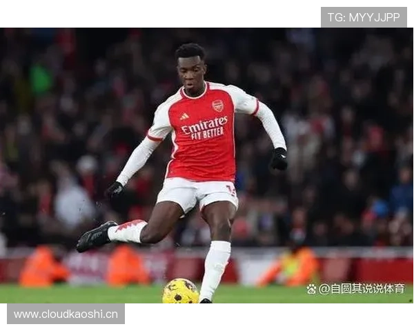 赖斯的影响力是否被高估？战术作用与实际贡献解析